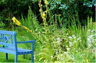 Gartenbank