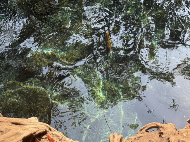 Zwischenstopp bei einer Oase: Das Schwimmen im ca. 28 Grad warmem Wasser hat uns an Geist und Körper erfrischt.